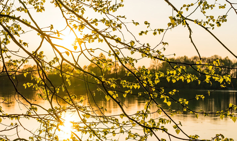 financial planning, St Paul, MN, wealth management